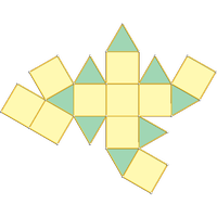 Girobicpula quadrada (J29)
